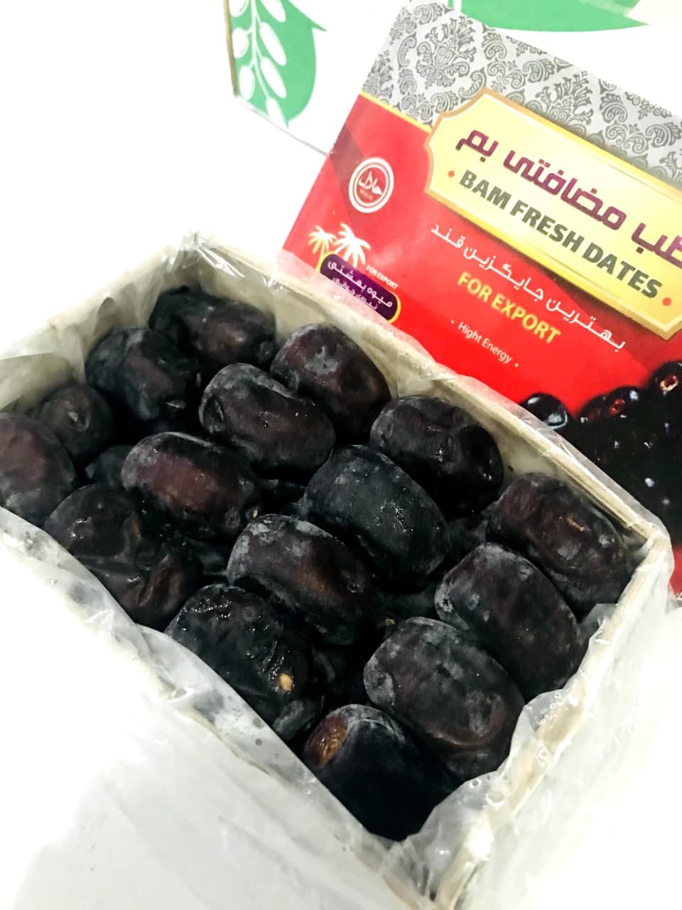 Kurma